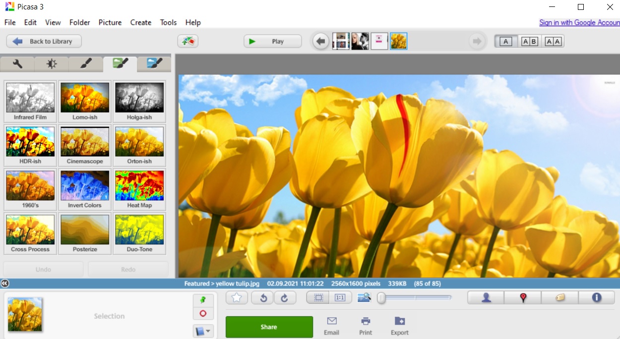 picasa image viewer for mac